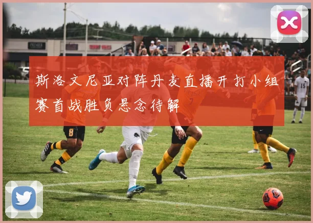 斯洛文尼亚对阵丹麦直播开打小组赛首战胜负悬念待解